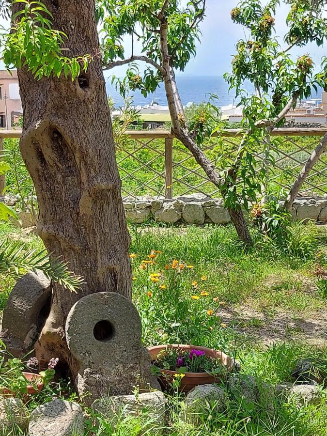 Villa Symphony Sea View Forio di Ischia Exteriör bild