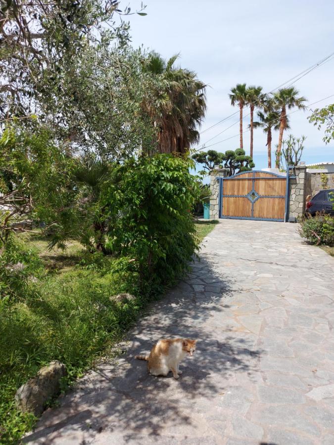 Villa Symphony Sea View Forio di Ischia Exteriör bild