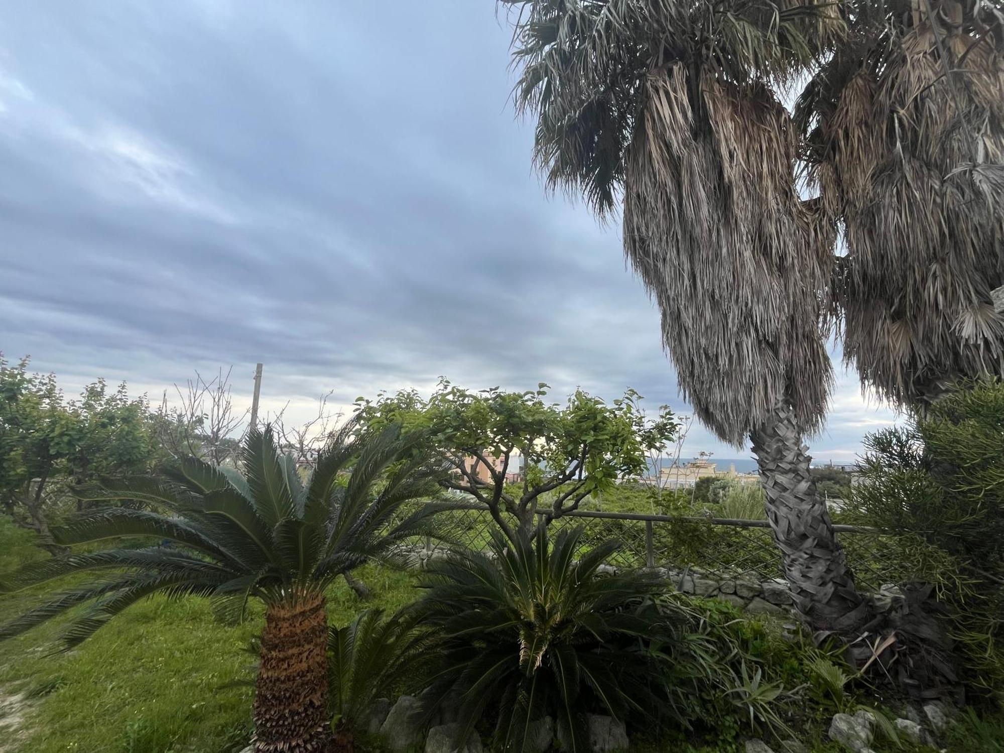 Villa Symphony Sea View Forio di Ischia Exteriör bild
