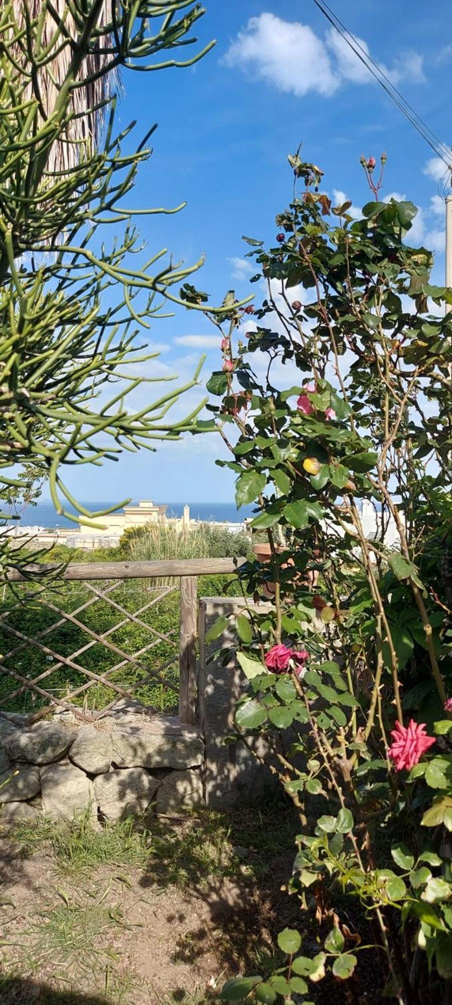 Villa Symphony Sea View Forio di Ischia Exteriör bild