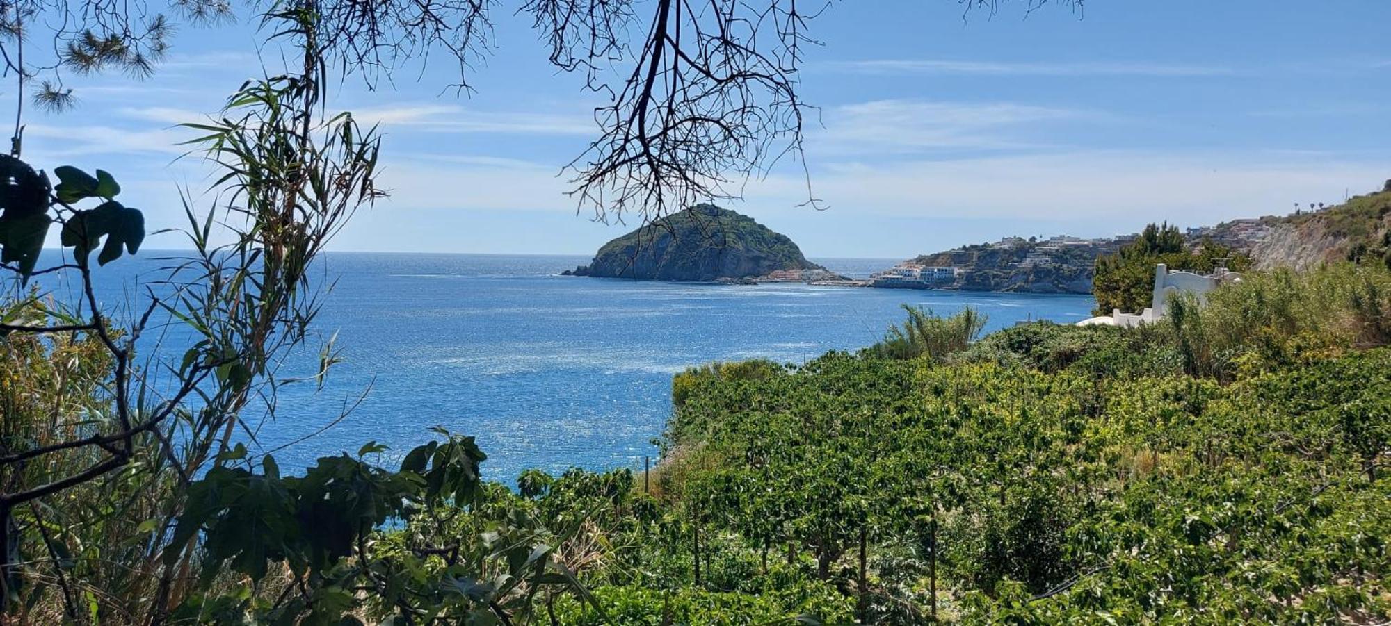 Villa Symphony Sea View Forio di Ischia Exteriör bild