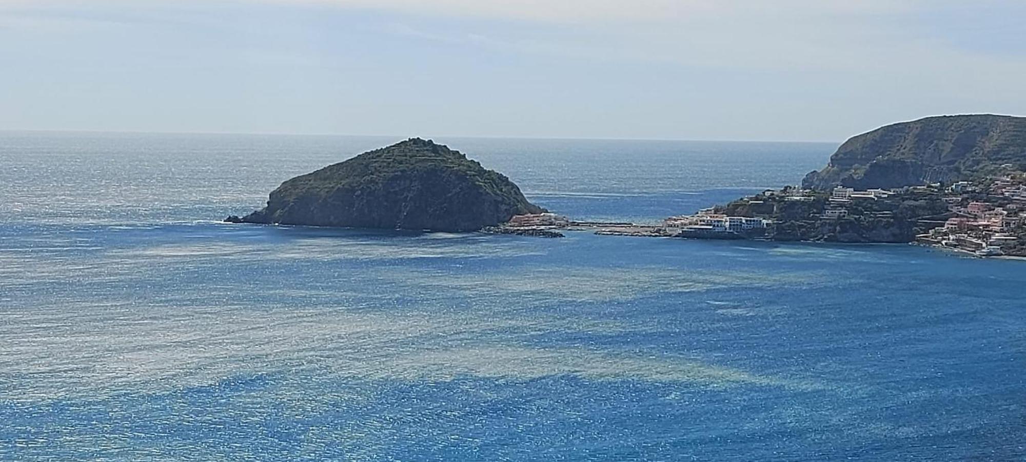 Villa Symphony Sea View Forio di Ischia Exteriör bild